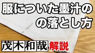 服についた墨汁のシミを固形石鹸と酵素高配合の酸素系漂白剤を使って落とす！【茂木和哉解説】 [upl. by Wilbur]