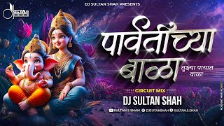 Parvatichya Bala Ganpati Song DJ Remix  Ganpati Maza Nachat Aala DJ  DJ Sultan Shah [upl. by Htinek]