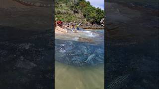 Pesca Na Graçainha Em ARRAIAL DO CABO RJ BRASIL 🇧🇷 shorts [upl. by Aerehs]