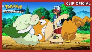 Scraggy y Cottonee  Pokémon Negro y Blanco  Clip oficial [upl. by Laurel725]