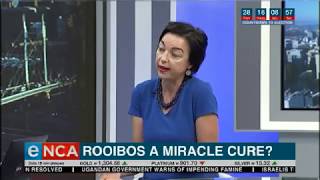 Rooibos miracle cure [upl. by Diarmit]