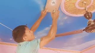 Ceiling painting 🖌️design sky flying bird 🕊️ ⭐starvlogMohansubba [upl. by Noeled]