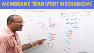 Cell Membrane Transport  Plasma Membrane Transport  Cell Biology🩸 [upl. by Athalee]