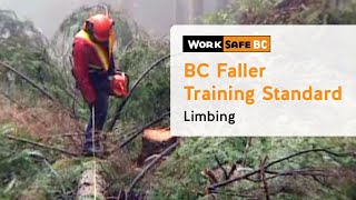 BC Faller Training Standard  Limbing 15 of 17 [upl. by Taryne]