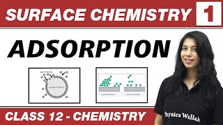 Surface Chemistry 01  Adsorption  Class 12 NCERT [upl. by Ginger]