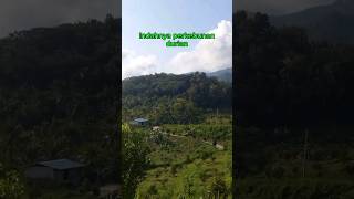 perkebunan durian [upl. by Rahsab]