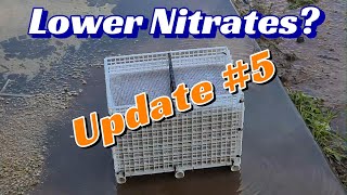 Does Anoxic Filtration Lower Nitrates Update 5 [upl. by Amsab]