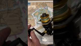 Penn Spinfisher 4400SS spin fishing reel of the day fish [upl. by Ledairam]