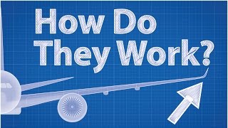 Winglets  How Do They Work Feat Wendover Productions [upl. by Esetal]