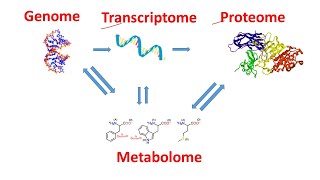 Genome Transcriptome Proteome Metabolome within 2 minutes  Genomics Transcriptomics Proteomics [upl. by Izaak]