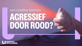 Word je écht rustig van groen en wild van rood [upl. by Odraode]