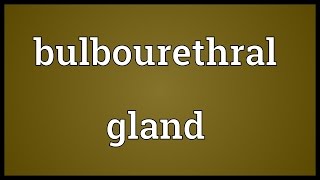 Bulbourethral gland Meaning [upl. by Anisirhc]