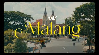 Hal  Malang Official Lyric Video [upl. by Anehs]