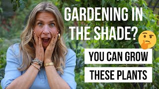 20 Plants You Can Grow in the Shade [upl. by Sualkin]