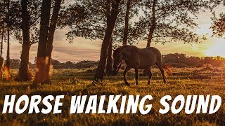 Horse Hooves Sound  Horse Walking  Sound Effect [upl. by Agbogla]