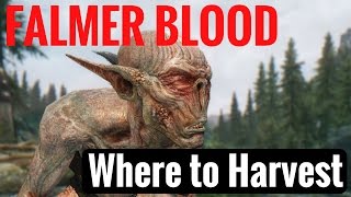 Skyrim REMASTERED  Falmer Blood Where to Harvest [upl. by Noyerb]