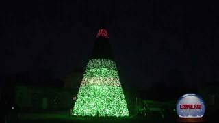 UKs First Singing Christmas Tree at Longleat [upl. by Eceeryt]