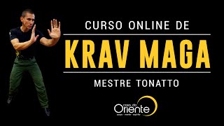 KRAV MAGA  AULA 05  COMO SOCAR E COTOVELAR  CURSO ONLINE GRATUITO  MESTRE TONATTO [upl. by Haraj]