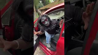 Car 🚗 se nikala bhoot 🤓😜🙏 funny comedy shorts shortsfeed tiktokvideo freefire bhoot [upl. by Azeel]