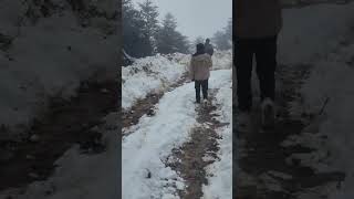 heavy snowfall in sandakphu darjeeling caused road blockade [upl. by Rossuck310]