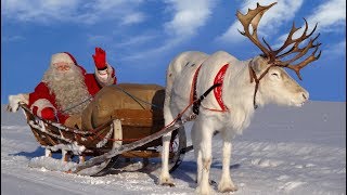 Papá Noel los mejores viajes en reno 🦌🎅 Bestof Santa Claus para los niños  Laponia Finlandia [upl. by Llertnov205]