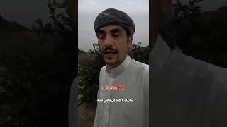 علمني وش فيك تدفعني على اهمـالك  سعد المسعودي قصايد ابيات اشعار خواطر أبياتشعر شعر غزل بوح [upl. by Fitzger]