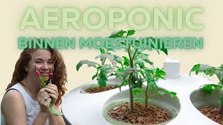 Aeroponic moestuin in je woonkamer  Heb ik al meer geleerd  mijn ervaring [upl. by Ahtanaram]