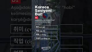 🇰🇷 Korece Seviye Testi [upl. by Annaynek]