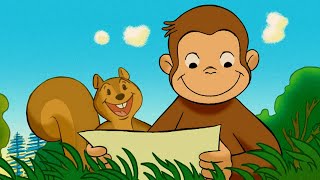 Coco der Neugierige Affe  Spiele im Freien  Cartoons für Kinder [upl. by Ecyal]