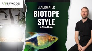 Scaping a Blackwater Biotope Aquarium [upl. by Mount]