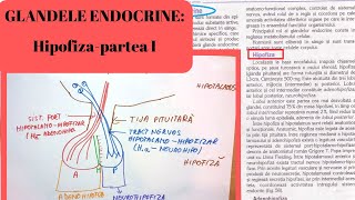 ADMITERE MEDICINA GLANDELE ENDOCRINE 1 Hipofiza partea I [upl. by Crompton]