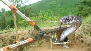 Awesome quick Snake trap make from scissors in front of hole [upl. by Ecirtnas538]