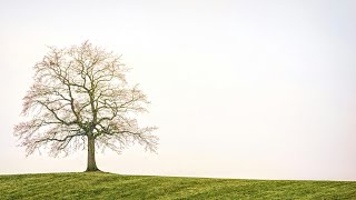 Livestream gebedsdienst Katholiek Allerheiligen 2024 [upl. by Ettedranreb330]