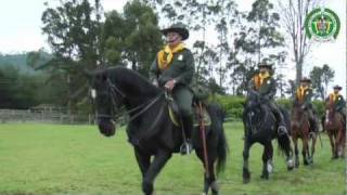 Carabineros montados y Guías caninos DICAR  policiadecolombia [upl. by Begga760]