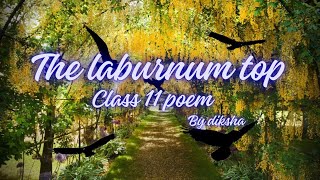 class 11 poem the laburnum top line to line explanation [upl. by Noami123]