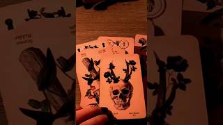 ASMR 1min  Tarot Reading [upl. by Evangelist]