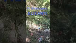 🚶‍♂️ Subida al Castillo de Santa Bárbara 🏰 🗑️ ¿Qué pasó aquí 🤔 [upl. by Atsyrhc]