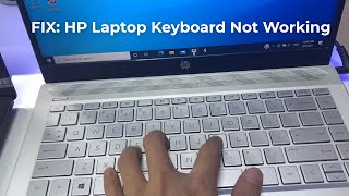 How To Fix HP Laptop Keyboard Not Working in Windows 10 [upl. by Pearl226]