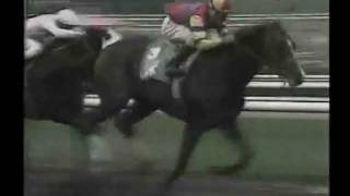 1992 Santa Anita Derby  AP Indy [upl. by Oijres]