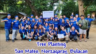 Tree Planting Angat Watershed Forest Reserve [upl. by Monjan]