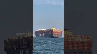 Super Container Ships MSC ARINA [upl. by Bob344]