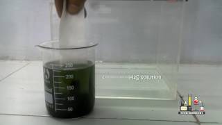 SEPARATE MIXTURE OF LEAD AND CADMIUM IONS BY PAPER CHROMATOGRAPHY  CHEMISRTY PRACTICAL [upl. by Brandyn]