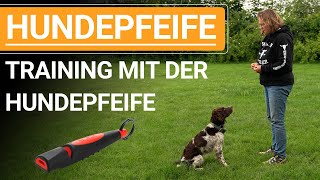 🐕🐶 Stephanie Salostowitz ➡️ Training mit der Hundepfeife ➡️ Praxisvideo 🐕🐶✔️ [upl. by Efinnej]