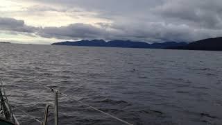 Sailing to Rose Harbour Haida Gwaii [upl. by Ycram]