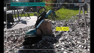 Makita DUR181Z Akku Trimmer Unboxing Härte Test Spulenwechsel [upl. by Ethelin352]