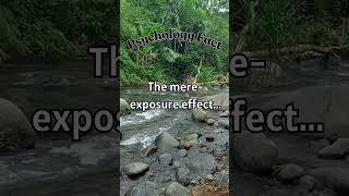 The mere exposure effect [upl. by Warren]