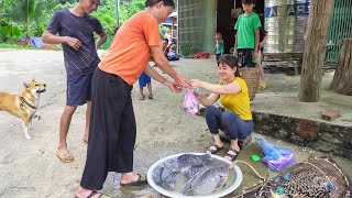 LIVE Harvesting Lots Fish In The Field Goes To Market Sell  Separate corn kernels and preserve [upl. by Thacker675]