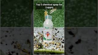 top 5 best Chemical spray for THRIPS thrips dravenugopal youtubeshorts agriculture [upl. by Seema]