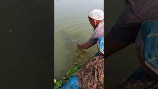 mazing Traditional Fishing Technique From River Fish bigfish netfishing Fishing village fishi [upl. by Aerdua]