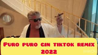 Puro puro gin tiktok remix 2022 del guns tv [upl. by Gelman]